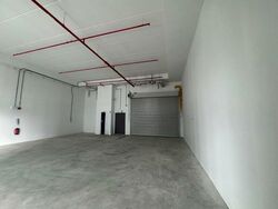 Ct Foodnex (D25), Factory #509041241